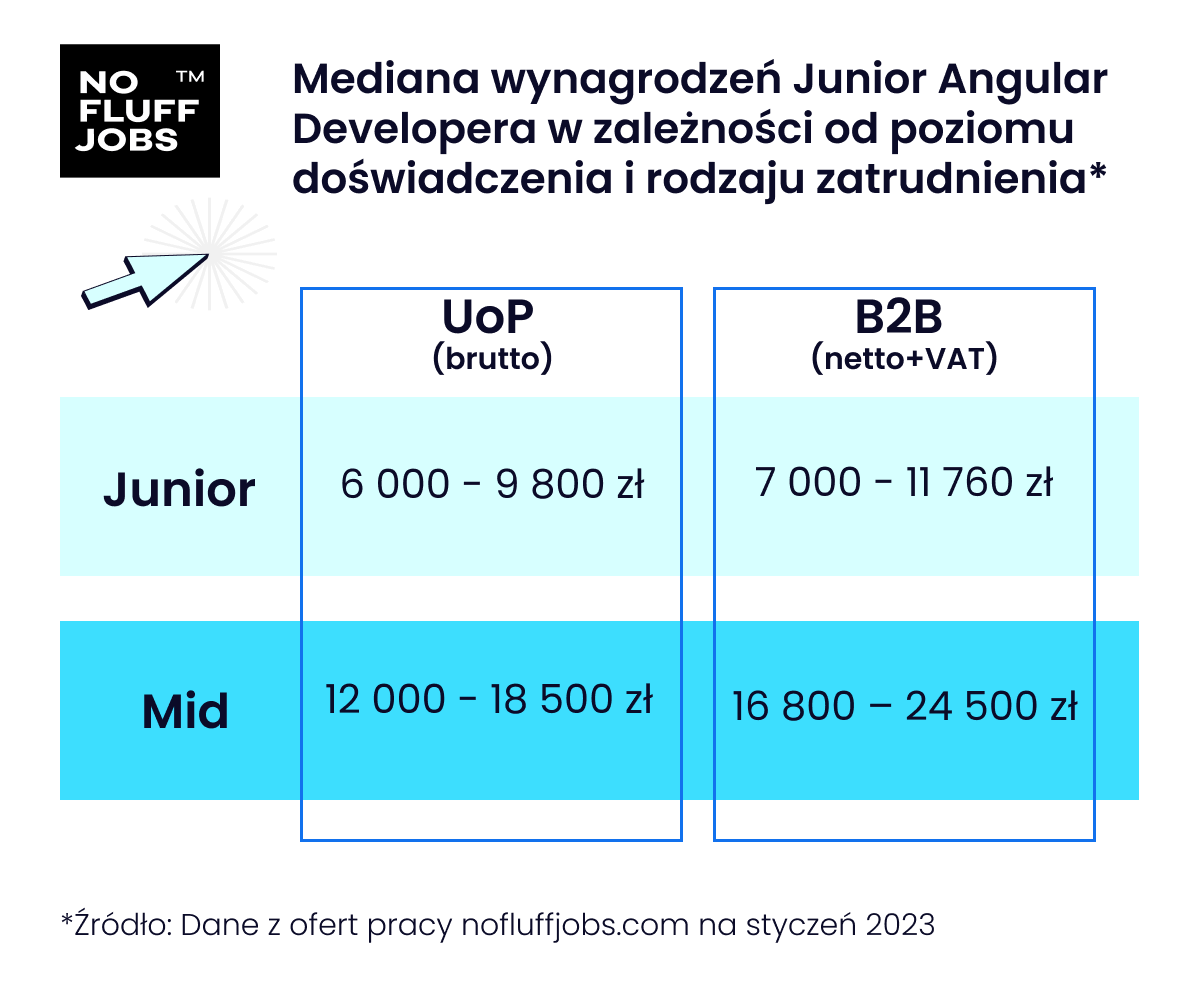 Junior Angular Developer – jak zacząć pracę na tym stanowisku?