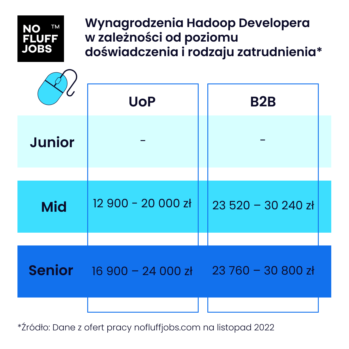 Hadoop Developer – co warto wiedzieć o tym stanowisku?