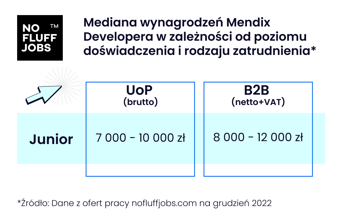 Kim jest Mendix Developer?