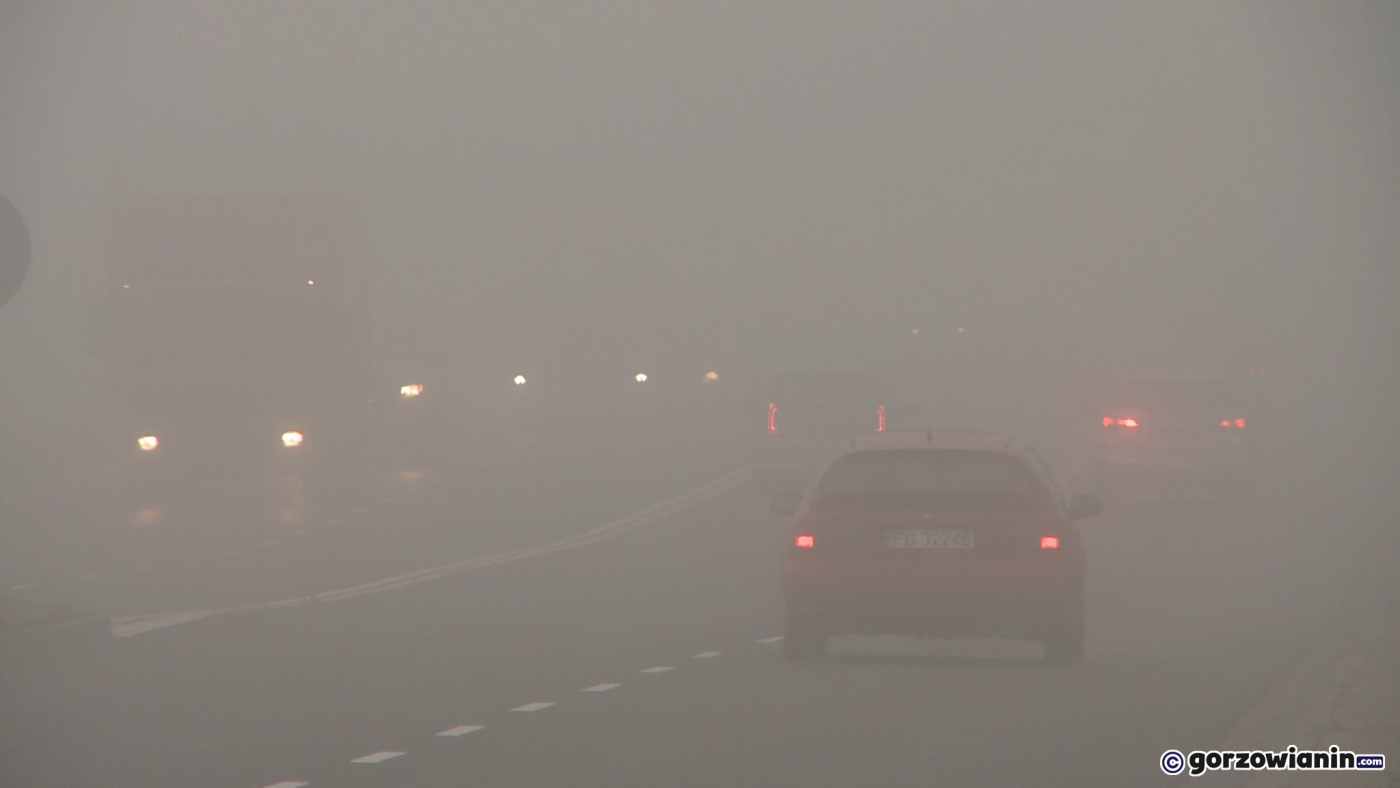 Gorzów: IMGW ostrzega przed gęstą mgłą