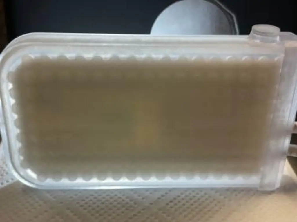 Najnowszym Polskim Produktem Przyszłości została bioniczna trzustka 3D. PARP szuka kolejnych