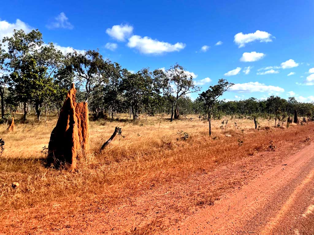 Cape York 8. Old Telegraph Track, czyli Okropnie Trudna Trasa