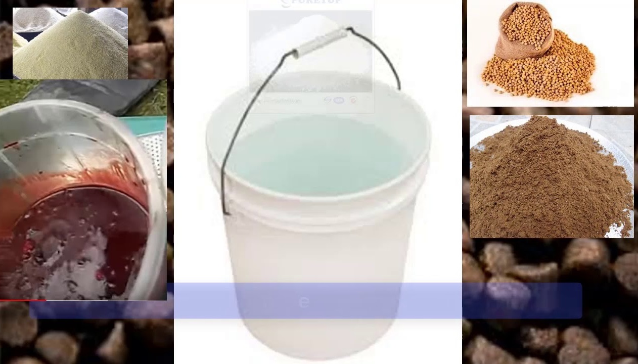 Jak zrobić pasze dla ryb i jak wygląda jej produkcja?