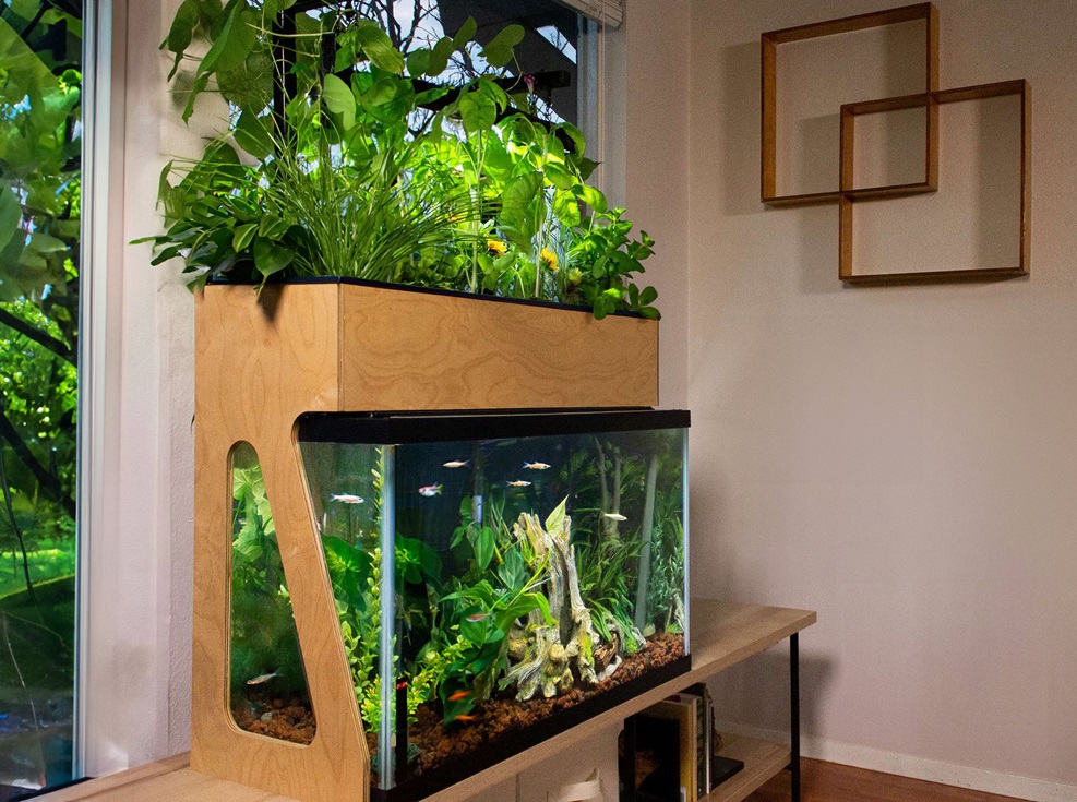 Hydroponika nad akwarium – opis i zasada działania, jakie rośliny?