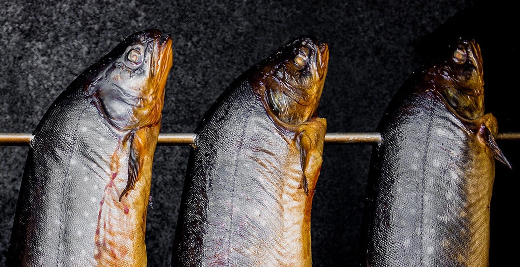 Ryba maślana – co to za ryba, opinie na forum, adekwatności, czy jest smaczna i dobra, gdzie kupić, cena za kg