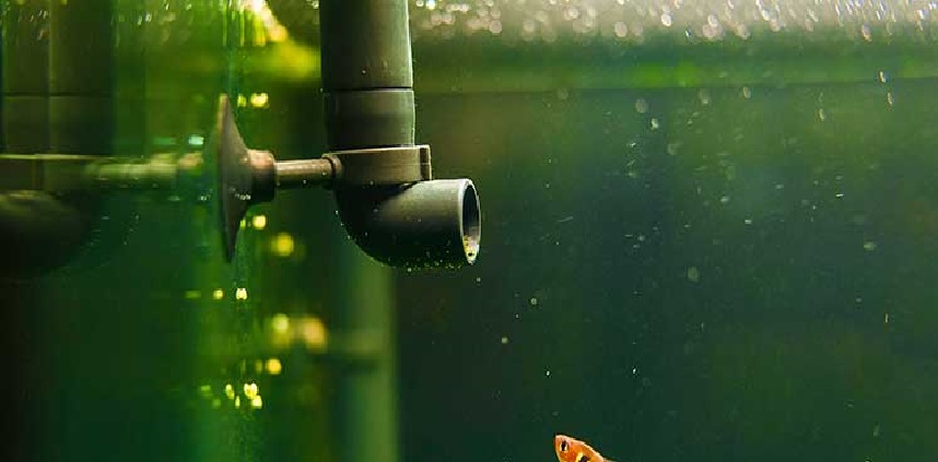 Jak długo musi działać napowietrzanie wody w akwarium?