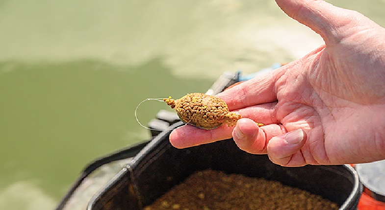 Jak łowić ryby metoda gruntową?