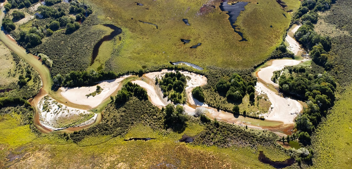 Jak sprawdzić czy w rzece są ryby?