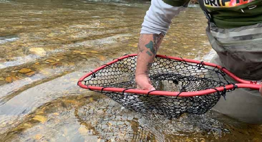 Czy wędkarz musi mieć podbierak?