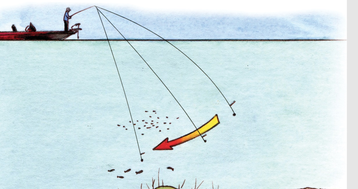 Drop Shot – na czym to polega?