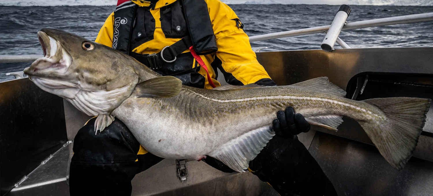 Czy w Norwegii można łowić ryby bez zezwolenia?