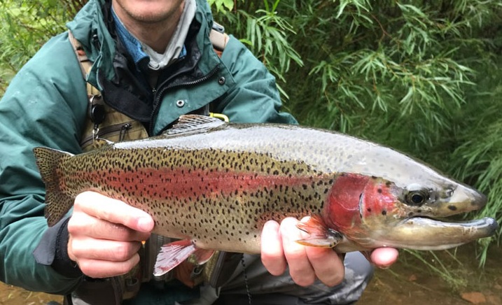 Gdzie najlepiej złapać pstrąga?