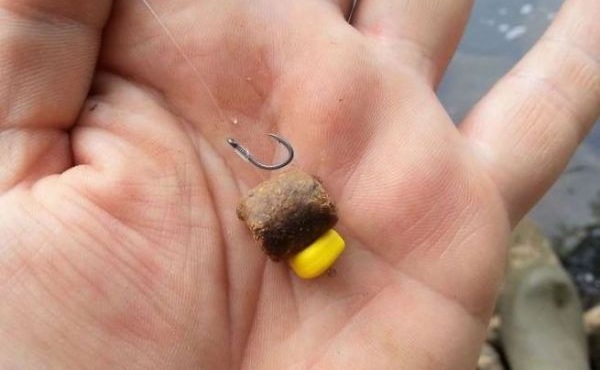 Jaki haczyk jest najlepszy do metody feederowej?