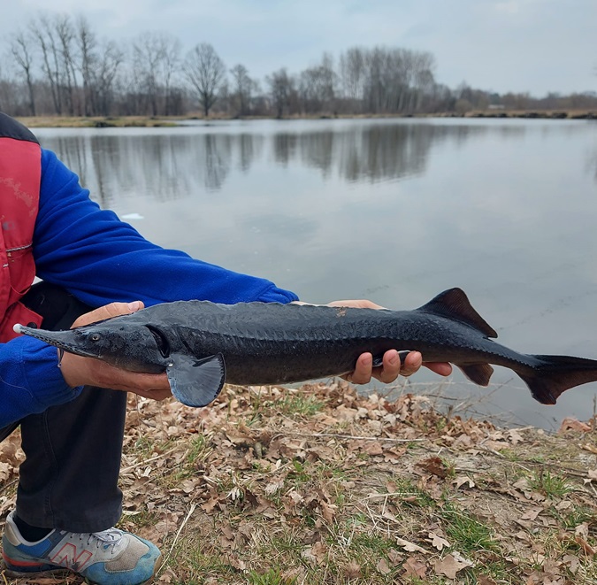 Łowisko Halinów – informacje, regulamin, jakie ryby, opinie na forum, mapa, cennik 2023