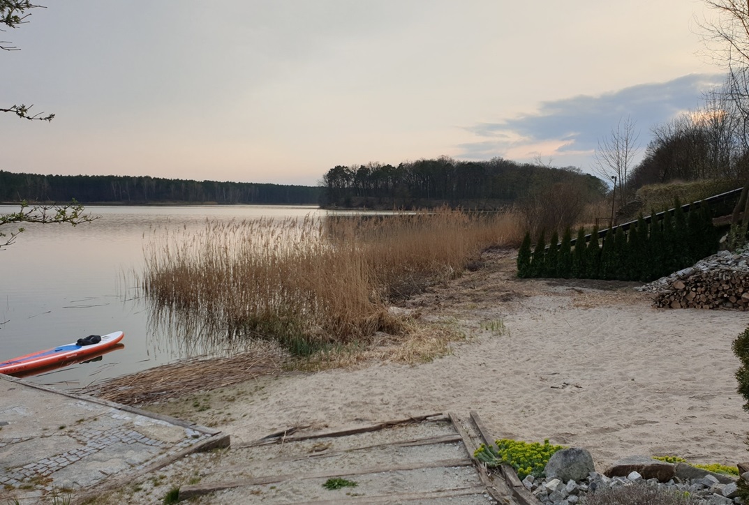 Jezioro Kowalskie – wędkarstwo, jakie ryby, zezwolenie, czystość wody 2023, głębokość, śnięte ryby