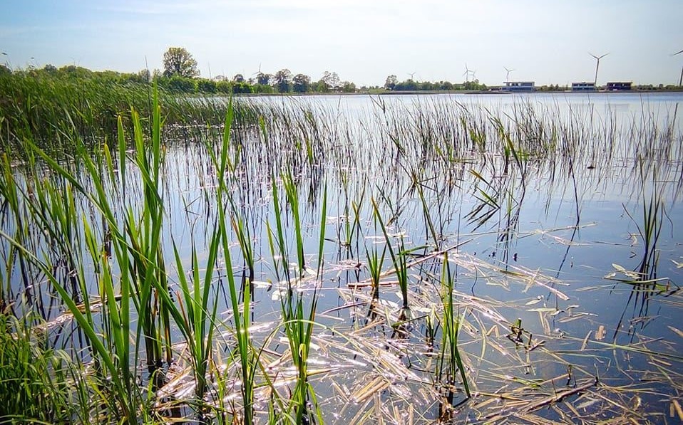 Zbiornik Smardzew – informacje, jakie ryby, opinie, Wikipedia