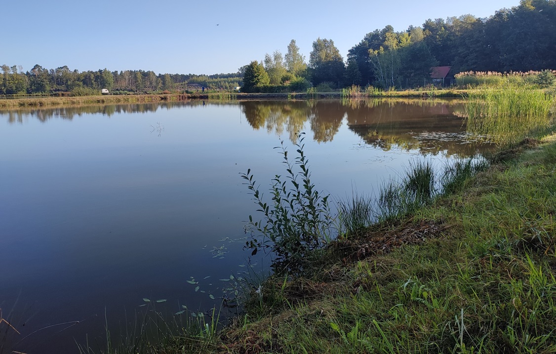 Łowisko Rokitnica – informacje, regulamin, opinie, cennik