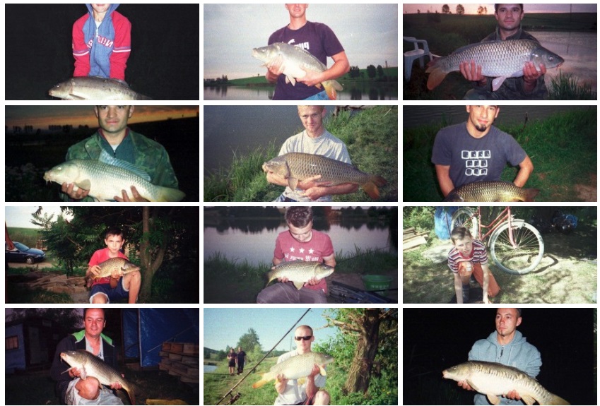 Łowisko wędkarskie Besko – informacje, jakie ryby, opinie na forum, regulamin i cennik