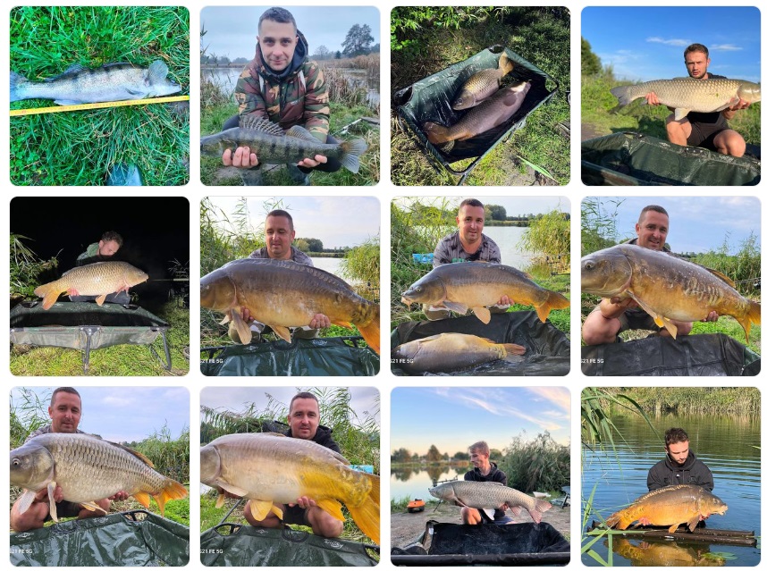 Łowisko Cicha Woda w Drwini – informacje, wędkarstwo, jakie ryby, stanowiska, opinie na forum