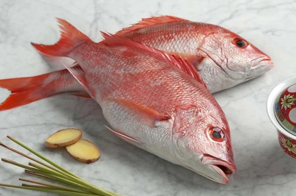 Karmazyn – co to za ryba, opinie na forum, czy jest dobra, czy ma ości?