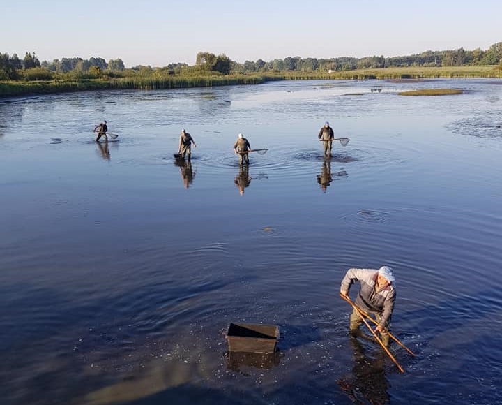 Łowisko w Rembertowie – opinie na forum, regulamin, wędkarstwo, jakie ryby, cennik, zezwolenie, głębokość