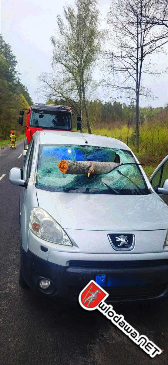 Adampol: Groźny wypadek podczas wichury. Drzewo spadło na jadący samochód