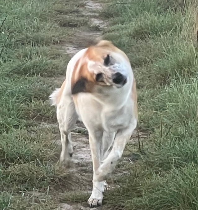 Najpierw trzeba odbudować demokrację (zbudować?)