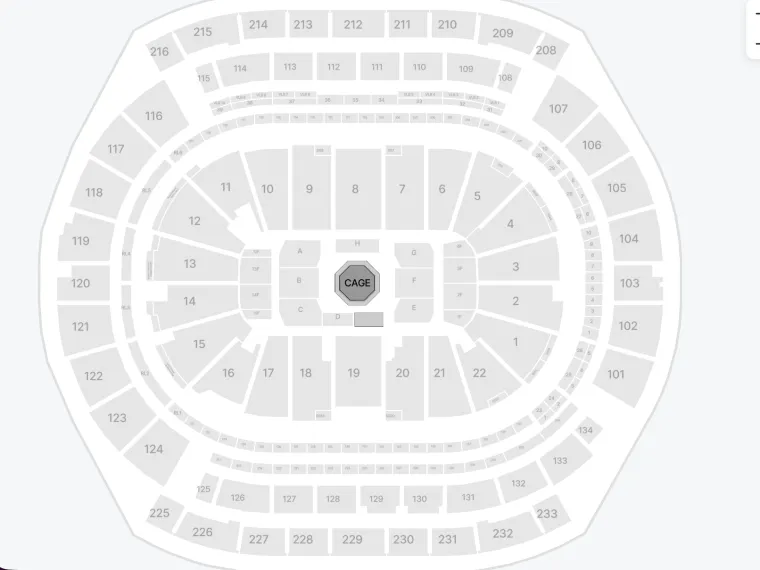 Ceny biletów na UFC 328 na walkę Chimaev kontra Strickland ujawnił Daniel Yanofsky